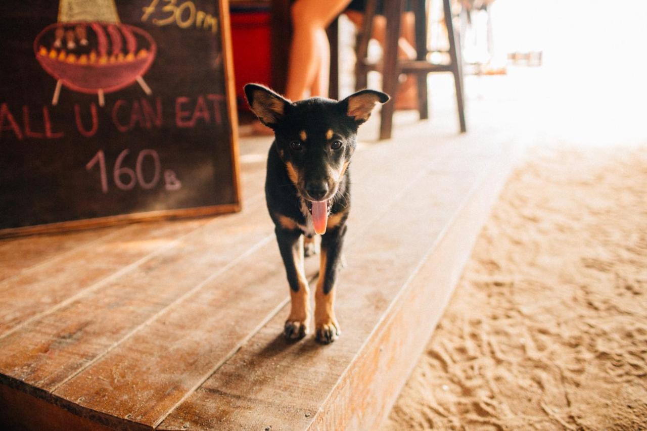 Baan Tai Backpackers Hostel Ko Pha Ngan Buitenkant foto